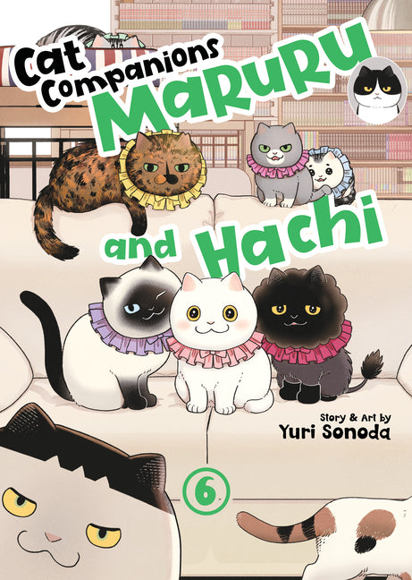Too Many Losing Heroines! (Light Novel) Vol. 7