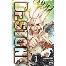 Dr. Stone, Vol. 1
