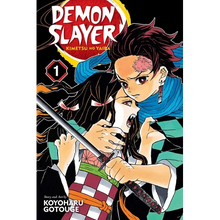 Demon Slayer: Kimetsu No Yaiba, Vol. 1: Cruelty