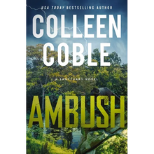 Ambush: A Small-Town Romantic Suspense