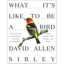 What It's Like to Be a Bird: From Flying to Nesting, Eating to Singing--What Birds Are Doing, and Why