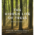 The Hidden Life of Trees: The Illustrated Edition
