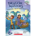 Guarding the Invisible Dragons: A Branches Book (Dragon Masters #22)