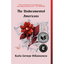 The Undocumented Americans