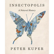 Insectopolis: A Natural History