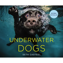 Underwater Dogs