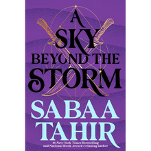 A Sky Beyond the Storm
