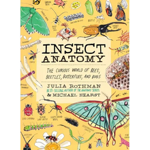 Insect Anatomy: The Curious World of Bees, Beetles, Butterflies, and Bugs
