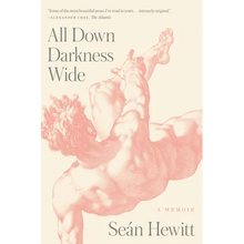 All Down Darkness Wide: A Memoir