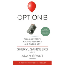 Option B: Facing Adversity, Building Resilience, and Finding Joy