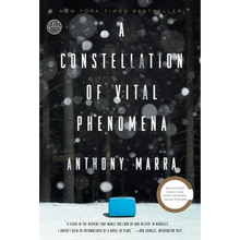A Constellation of Vital Phenomena