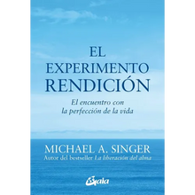 El Experimento Rendición: El Encuentro Con La Perfección de la Vida