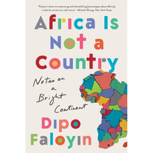 Africa Is Not a Country: Notes on a Bright Continent