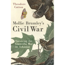 Mollie Brumley's Civil War: Surviving the Guerrilla War in Arkansas