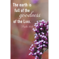 General Worship Bulletin: Earth Is Full (Package of 100): Psalm 33:5 (Kjv)
