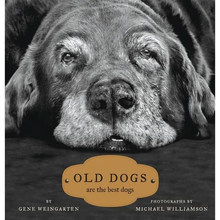 Old Dogs: Are the Best Dogs