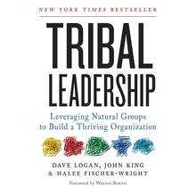 Tribal Leadership: Leveraging Natural Groups to Build a Thriving Organization